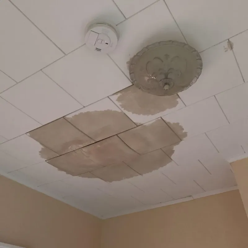 Ceiling Water Damage Repair in Carnot-Moon, PA
