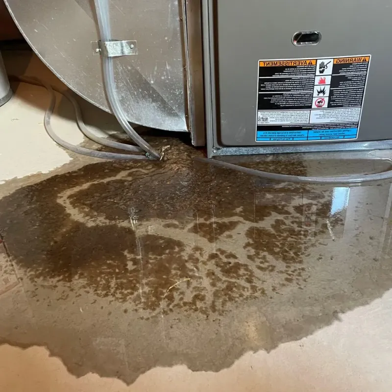 Pipe Burst and Leak Restoration in Carnot-Moon, PA