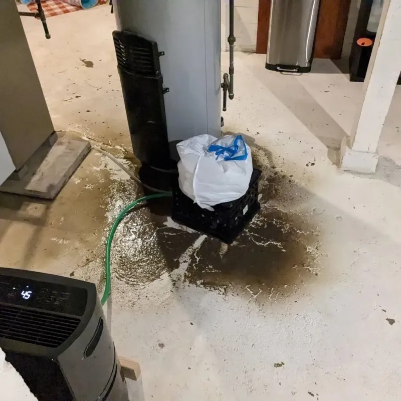 Sewage Backup Cleanup Service in Carnot-Moon, PA